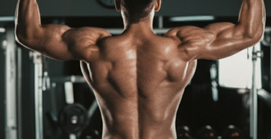 Ejercicios de Espalda