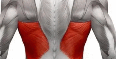 Ejercicios para el Dorsal Ancho