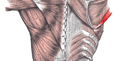 Ejercicios para el Redondo Mayor